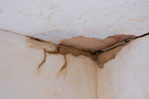 Carpet water damage restoration in West Pasco, WA