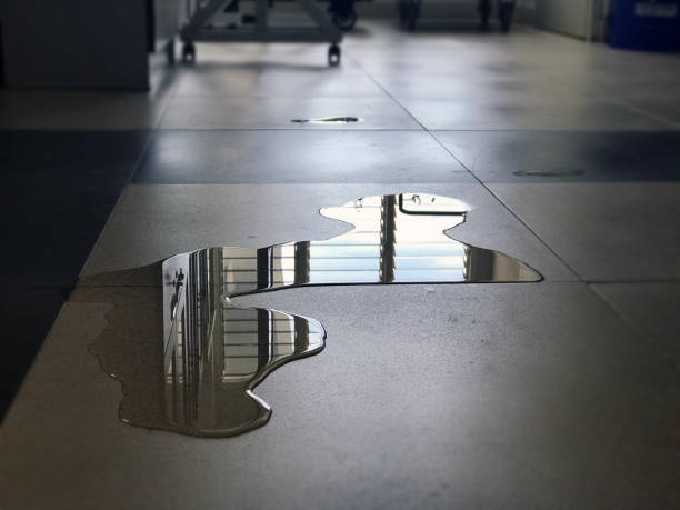 Best Water damage cleanup near me  in West Pasco, WA