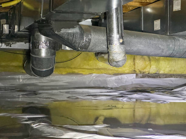 Best Carpet water damage restoration  in West Pasco, WA