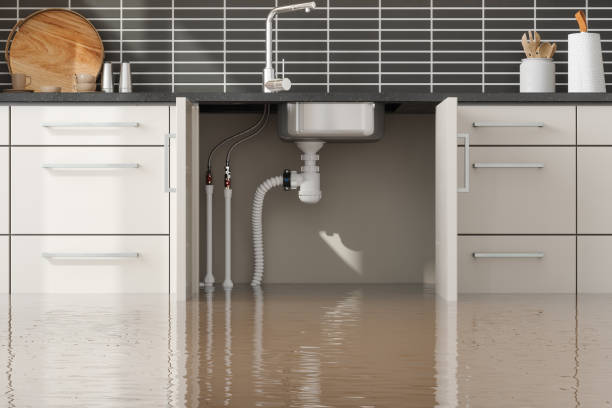 Carpet water damage restoration in West Pasco, WA