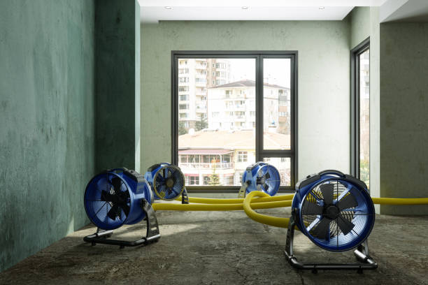 Best Water damage restoration mold remediation  in West Pasco, WA