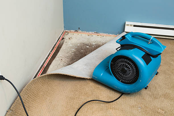 Best Sewage cleanup and water damage restoration  in West Pasco, WA